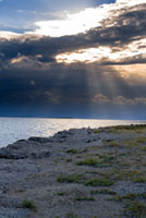 Before the storm 