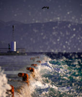 Storm at the harbor Aegina harbor, stormy sea, Mediterranean atmosphere, dramatic clouds, Greek coastline, moody seascape
